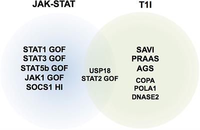 Emerging Place of JAK Inhibitors in the Treatment of Inborn Errors of Immunity